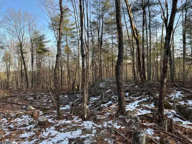 $100,000 | 0 North Shore Road, Gray, ME 04039