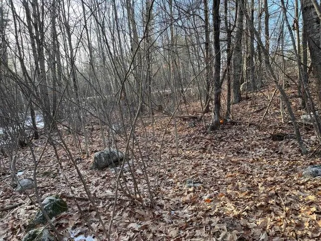 $100,000 | 0 North Shore Road, Gray, ME 04039