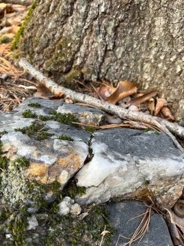 $100,000 | 0 North Shore Road, Gray, ME 04039