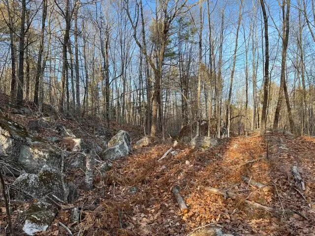 $100,000 | 0 North Shore Road, Gray, ME 04039