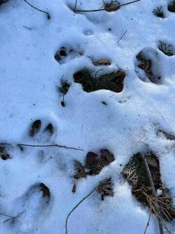 $100,000 | 0 North Shore Road, Gray, ME 04039