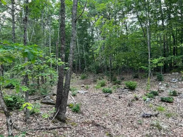 $100,000 | 0 North Shore Road, Gray, ME 04039