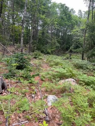 $100,000 | 0 North Shore Road, Gray, ME 04039