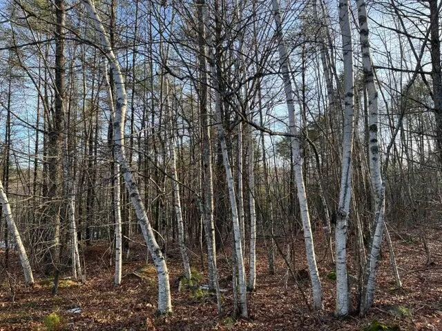 $100,000 | 0 North Shore Road, Gray, ME 04039