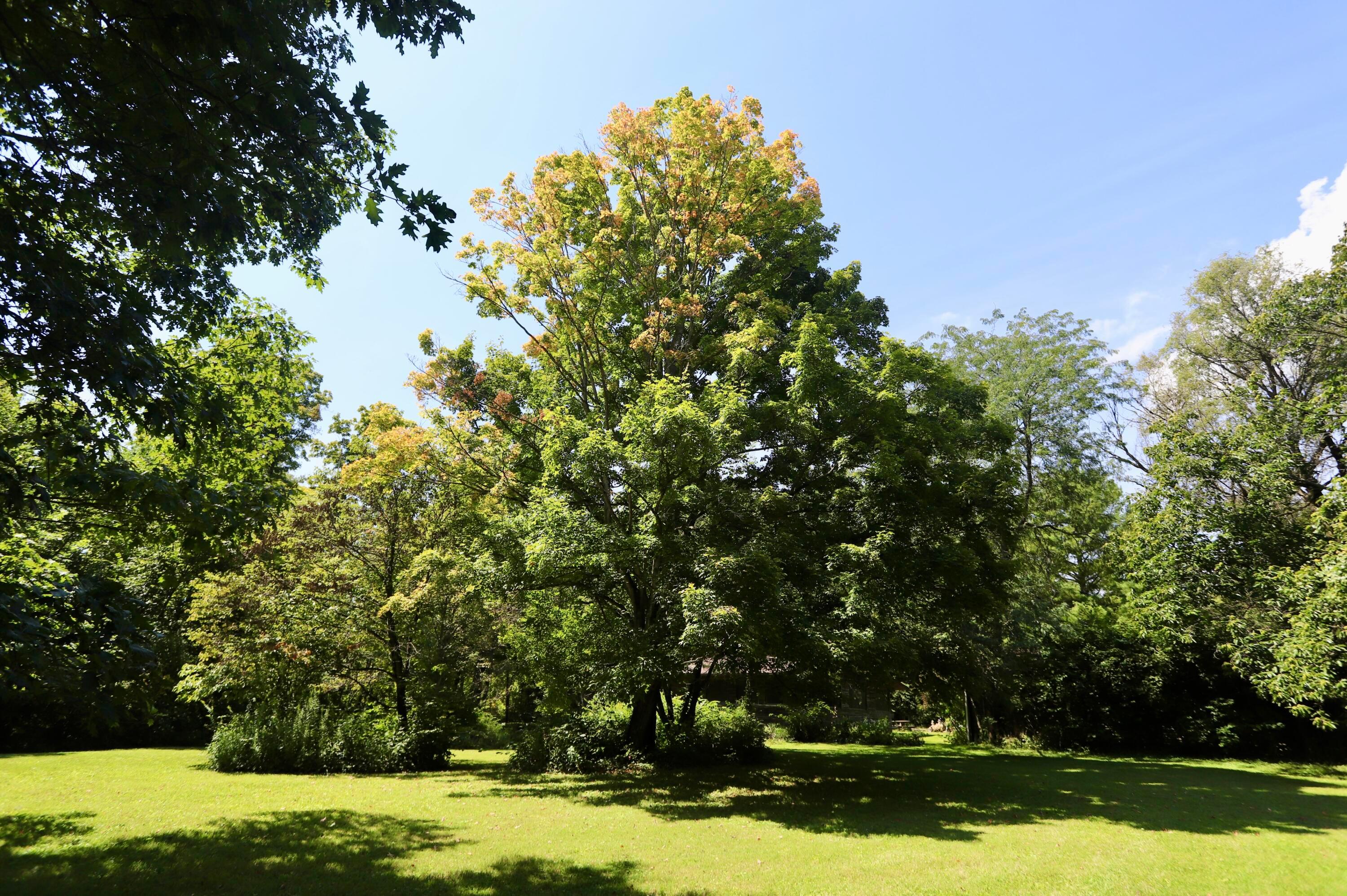2727 Panhandle Road Delaware, OH 43015 - Photo 12 of 51 208C4587-3FA9-4D83-B37F-61AE63B8CE7E_1_2