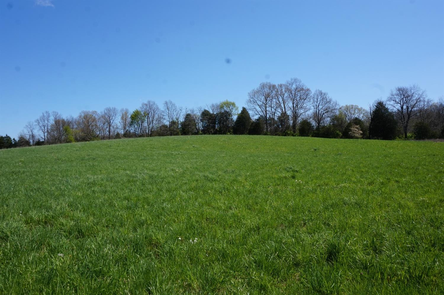 580 Gaffney Road Crab Orchard, KY 40419 - Photo 35 of 40 Photo 35