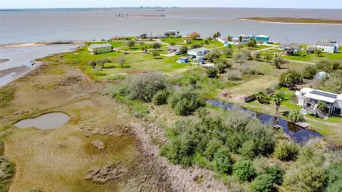 a view of a garden with a lot of plants and trees in the background