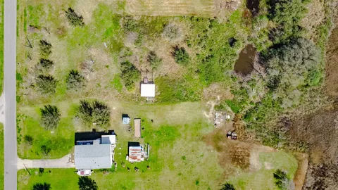 a view of a flower in a garden