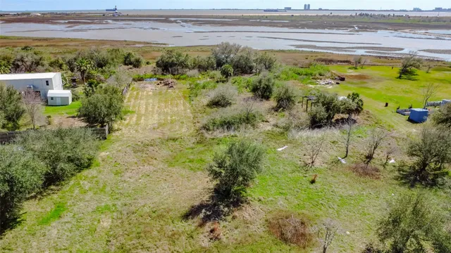 a view of a garden with a lake