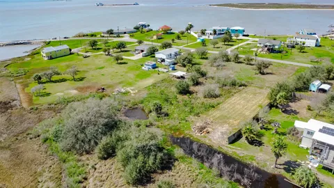 a plant with lots of different kinds of flowers