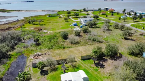 a view of a garden with lots of trees