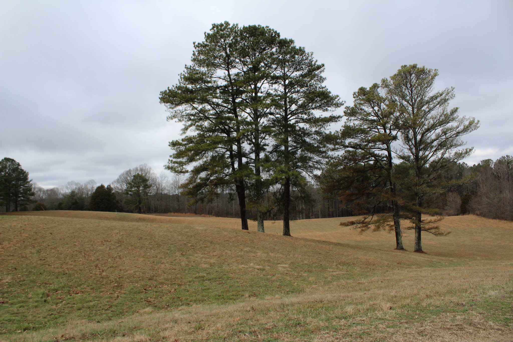 2655 Allen Bend Road Smithville, TN 37166 - Photo 48 of 52 Gallery Image 48