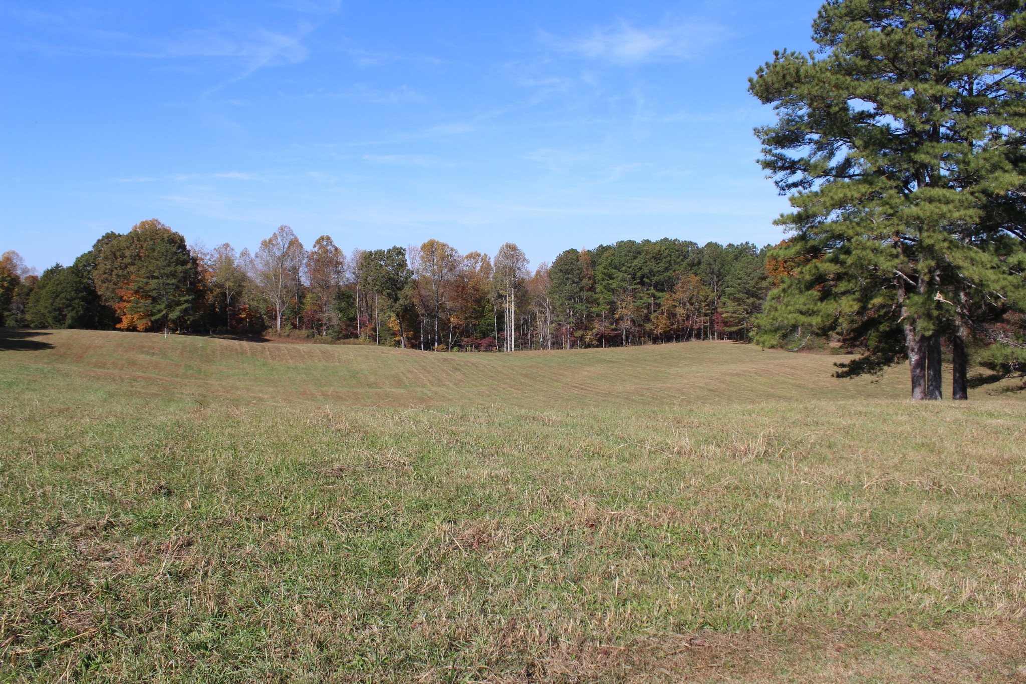 2655 Allen Bend Road Smithville, TN 37166 - Photo 50 of 52 Gallery Image 50