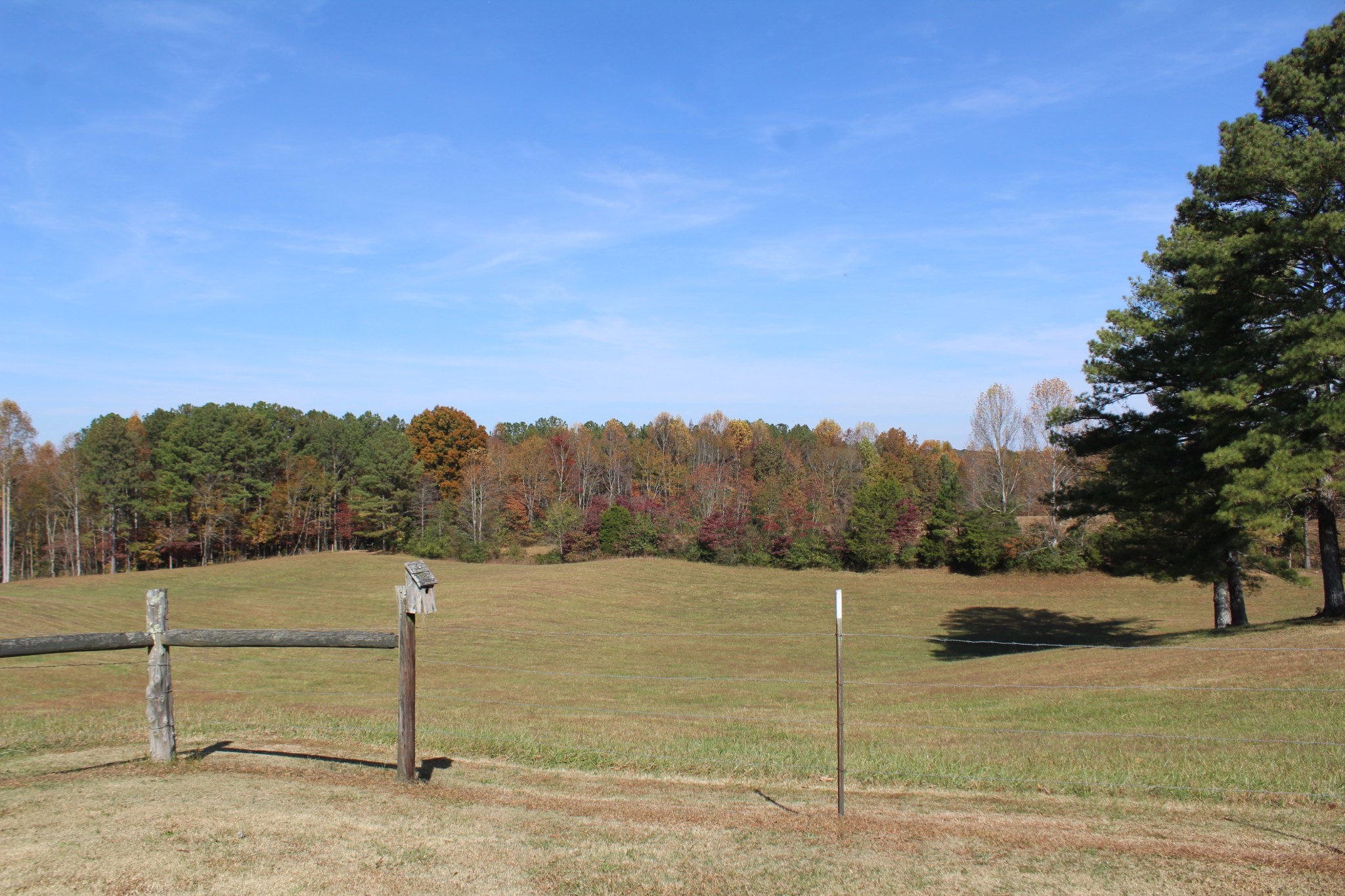 2655 Allen Bend Road Smithville, TN 37166 - Photo 51 of 52 Gallery Image 51