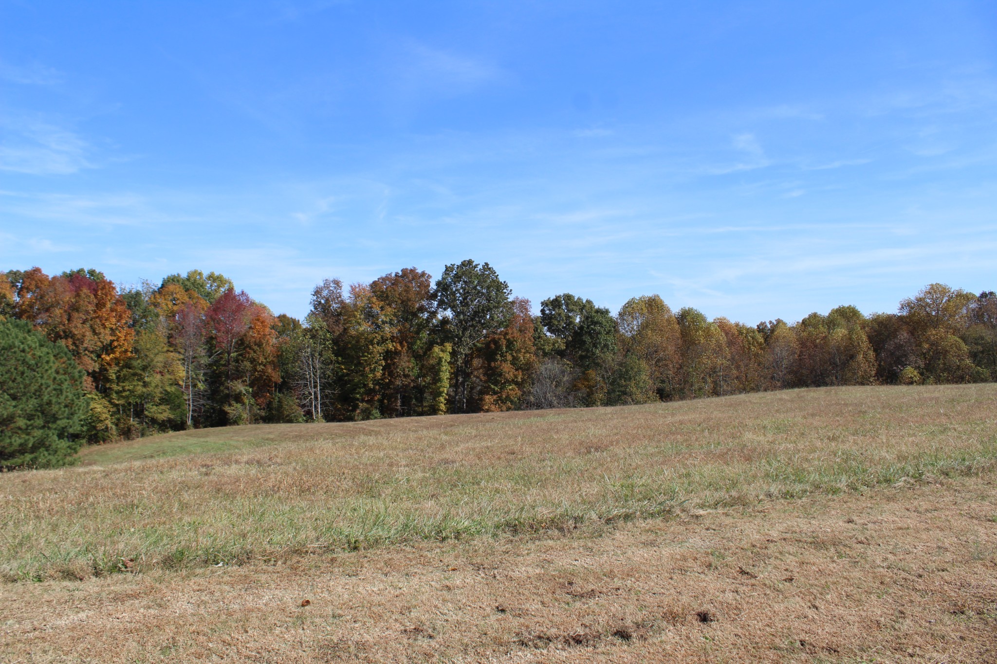 2655 Allen Bend Road Smithville, TN 37166 - Photo 52 of 52 Gallery Image 52