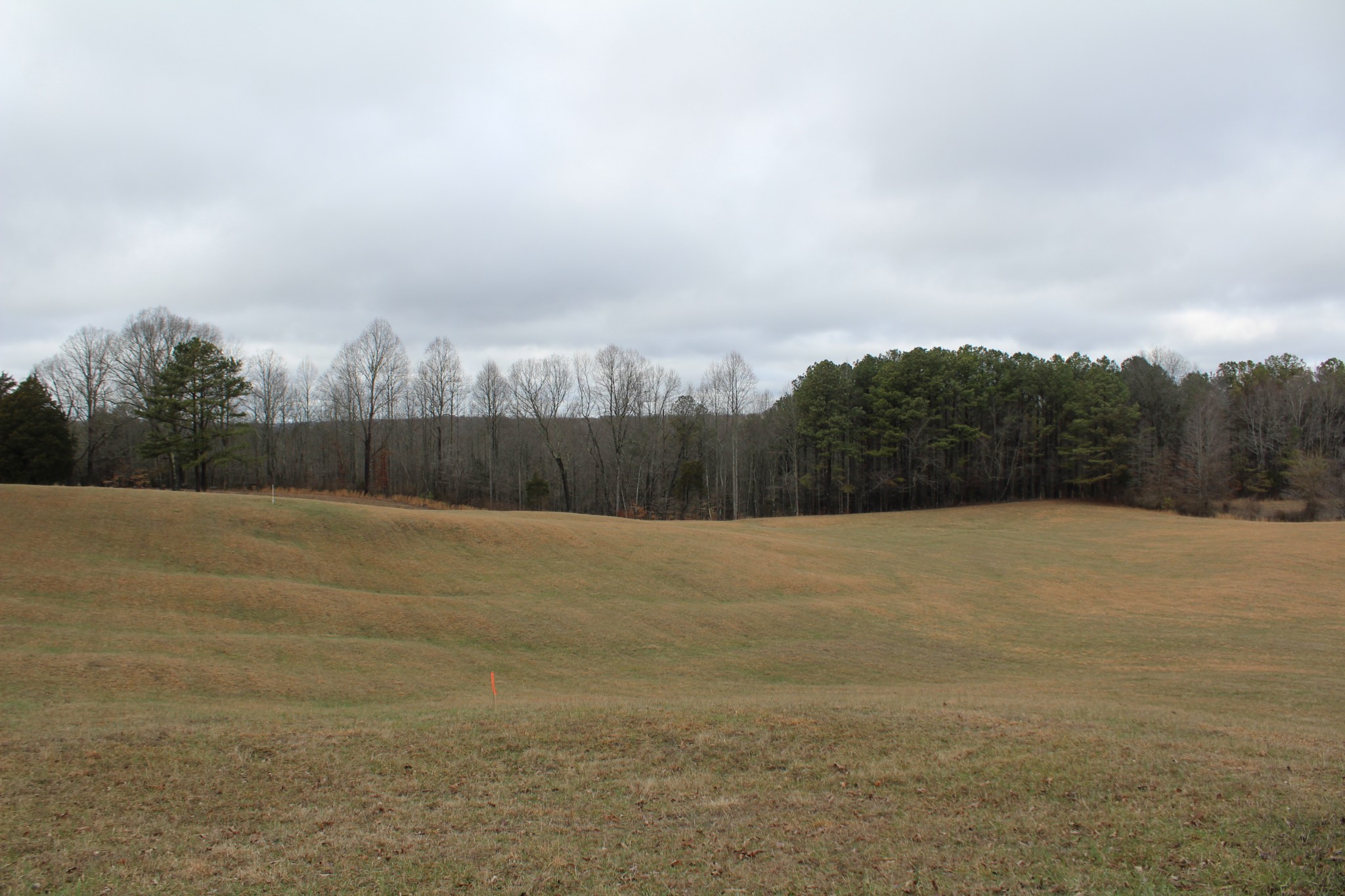 2655 Allen Bend Road Smithville, TN 37166 - Photo 6 of 52 Gallery Image 6