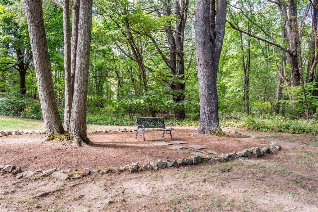75 Jordan Road Franklin, MA 02038 - Photo 38 of 46 a view of backyard with green space and trees