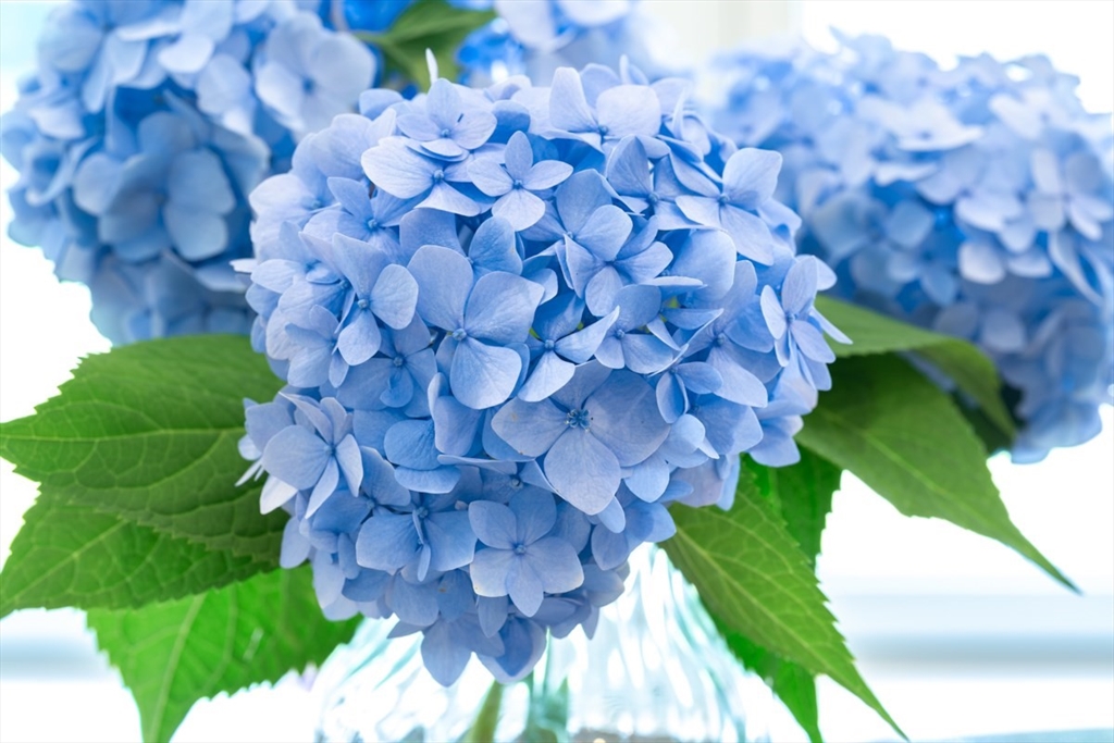 75 Jordan Road Franklin, MA 02038 - Photo 42 of 46 a view of a plant with a yard