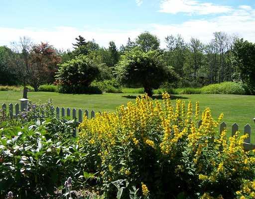 329 Wallston Road Tenants Harbor, ME 04860 - Photo 2 of 25 Yard/Garden.