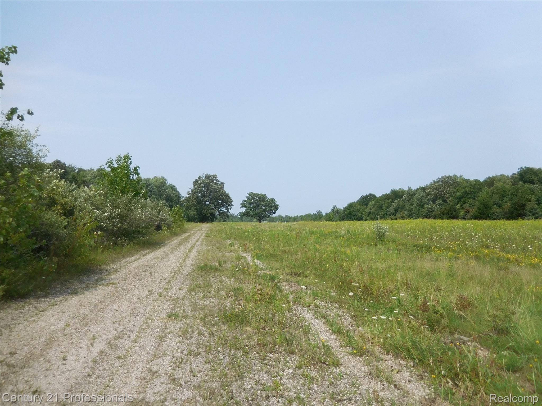 0 Church Road Imlay City, MI 48444 - Photo 30 of 33 DSCN2351.JPG