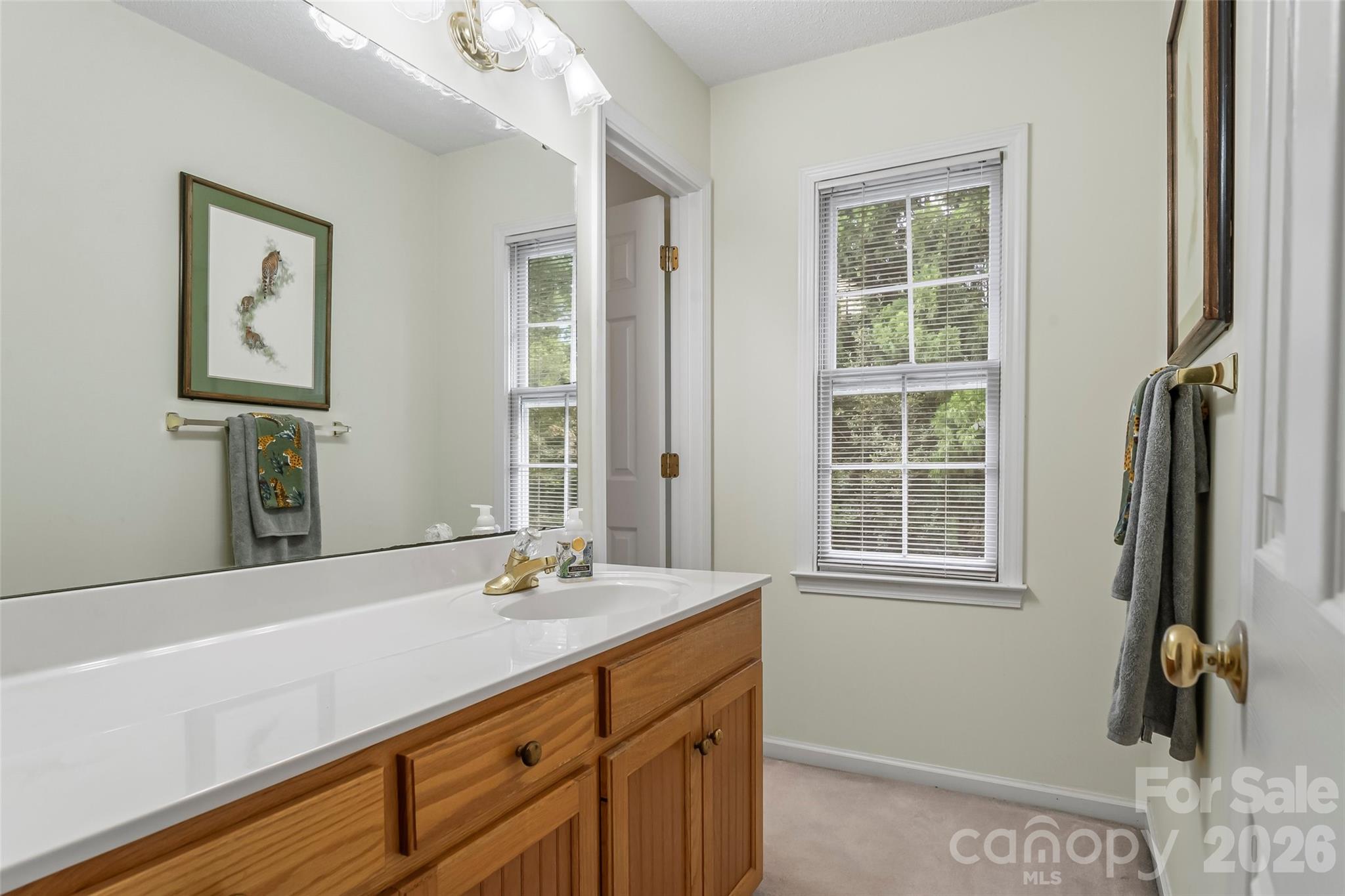 4617 Harbor View Terrace Morganton, NC 28655 - Photo 22 of 43