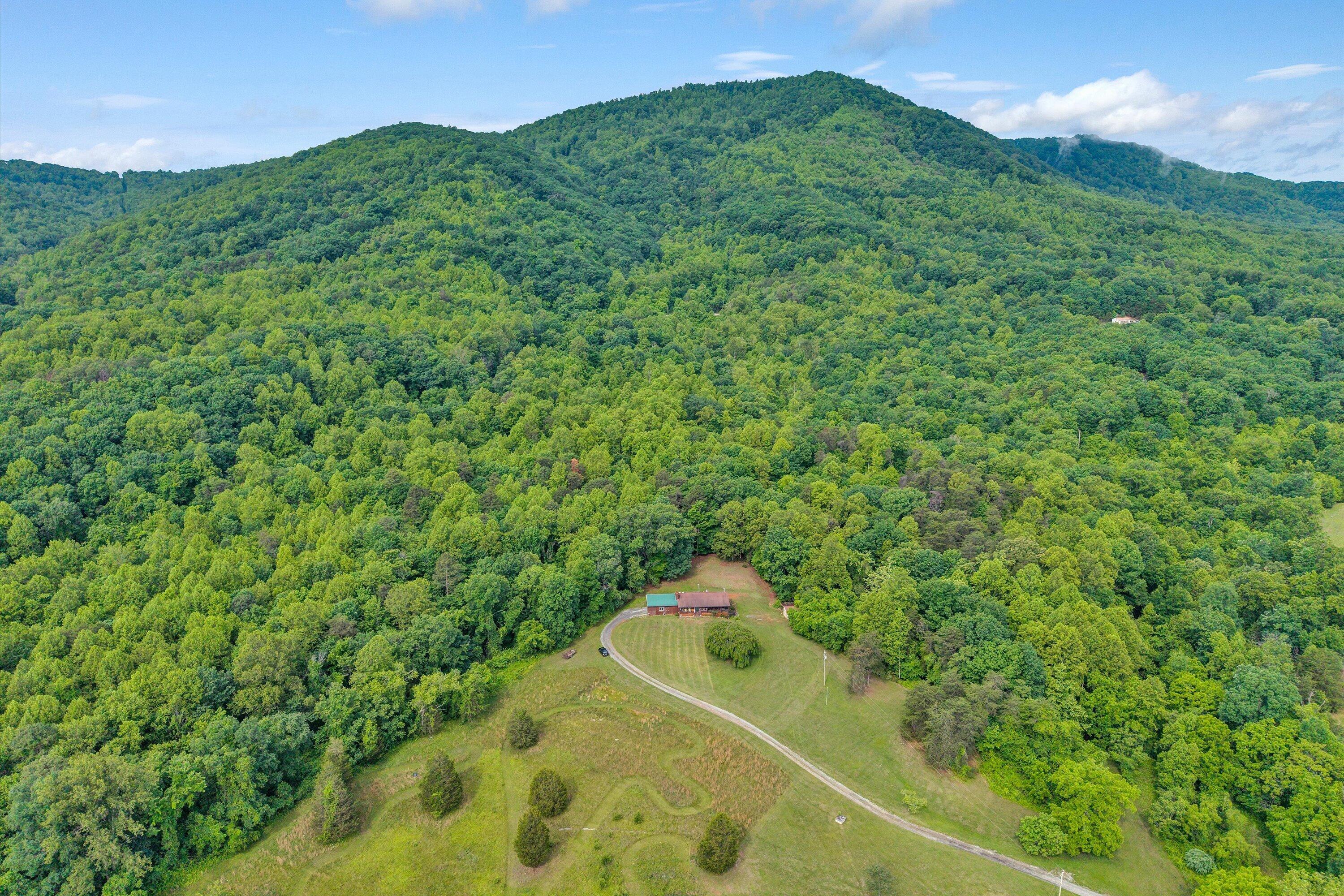 1550 Vernon Lane Blue Ridge, VA 24064 - Photo 3 of 45 03-SGP-20260527094448