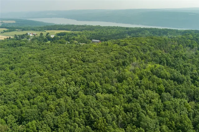 $175,000 | 6037 County Road 37, Canadice, NY 14560