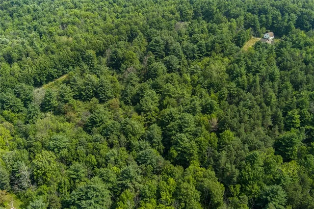 $175,000 | 6037 County Road 37, Canadice, NY 14560