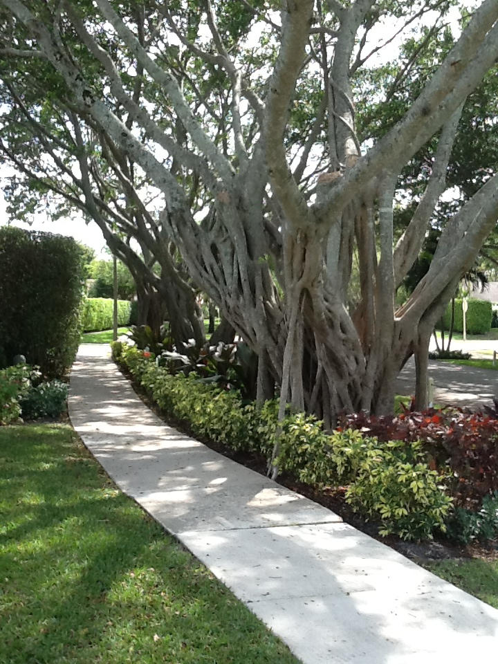 2366 Northwest 32nd Street Boca Raton, FL 33431 - Photo 43 of 44 044