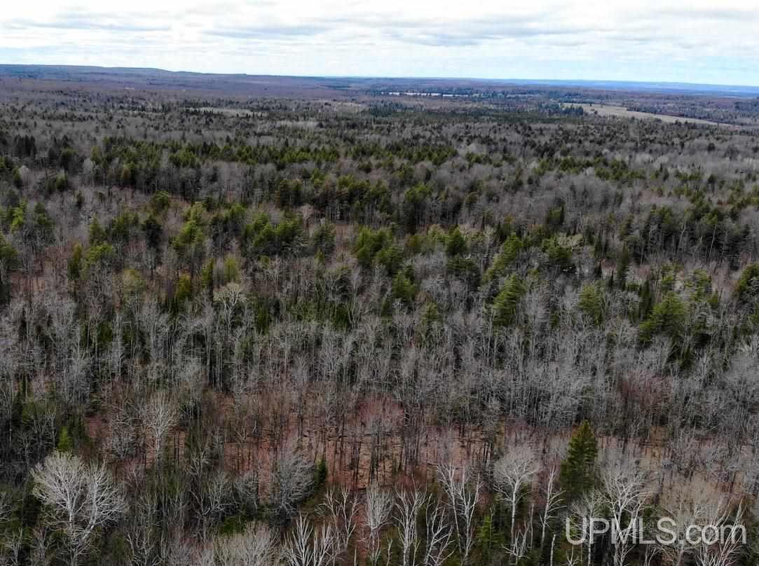 Tbd Dogpatch Road, Unit LOT I Lanse, MI 49946 - Photo 21 of 25