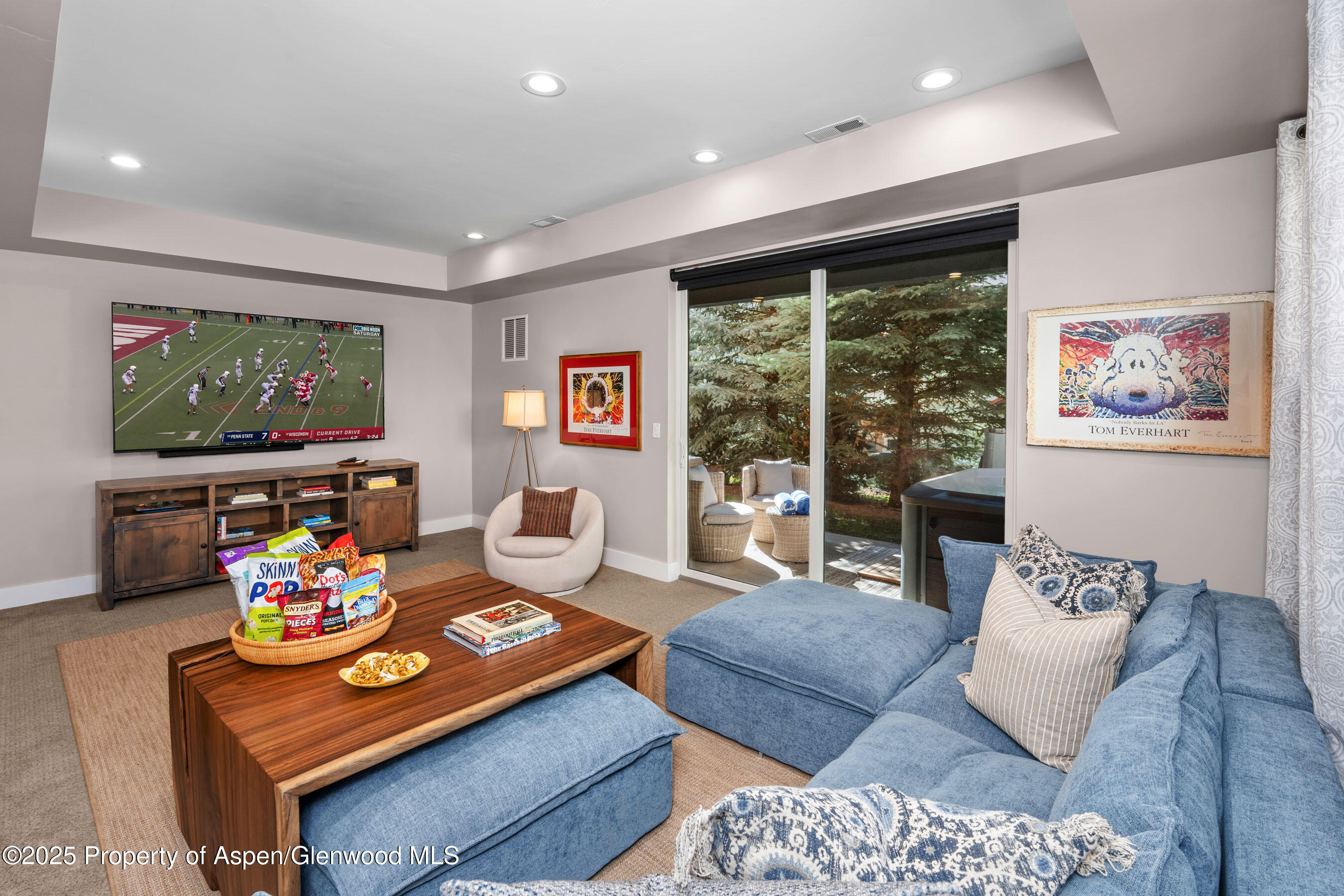 250 Overlook Ridge, Unit 250 Carbondale, CO 81623 - Photo 20 of 41 a living room with furniture and a flat screen tv