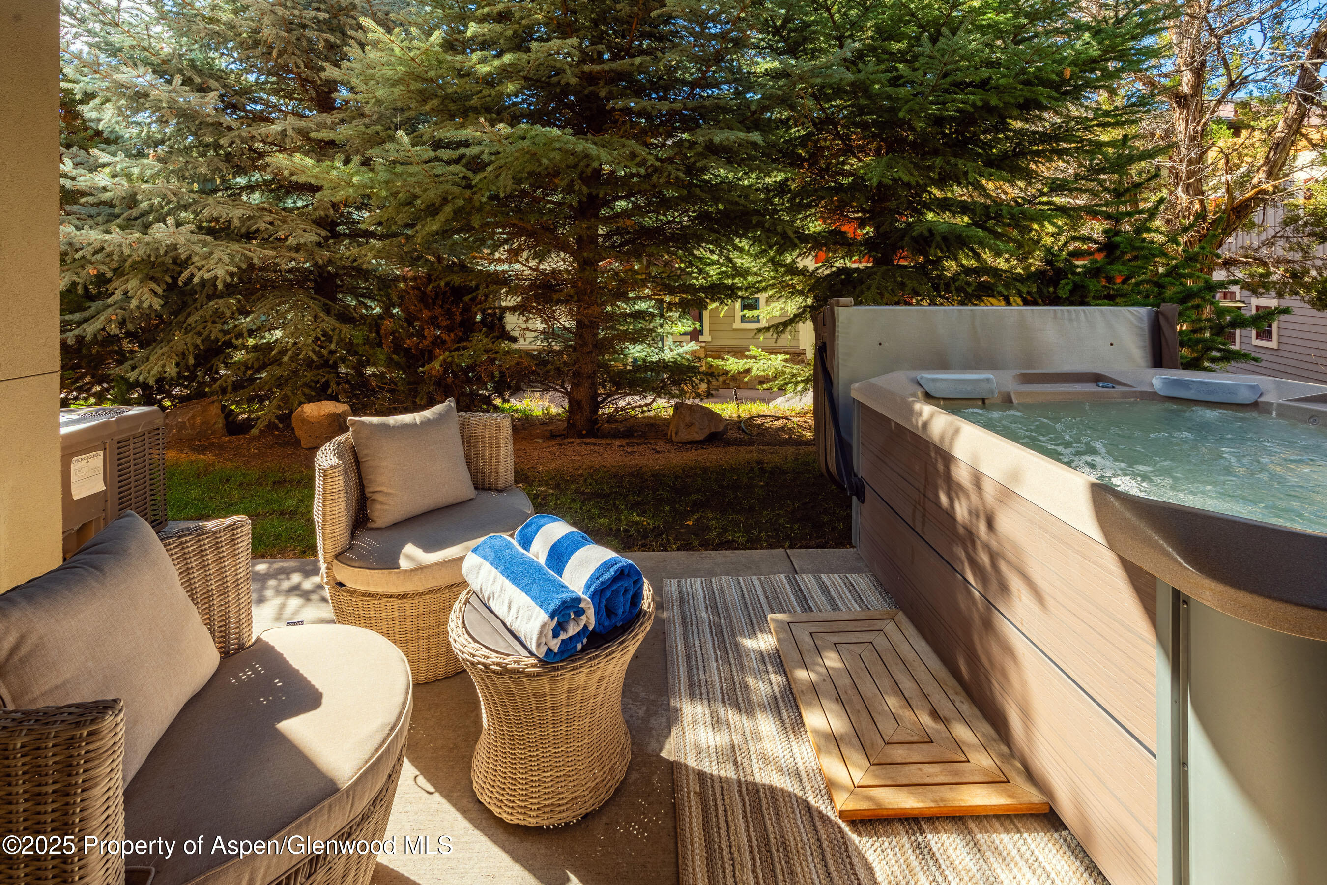 250 Overlook Ridge, Unit 250 Carbondale, CO 81623 - Photo 23 of 41 a view of a patio with chairs and a table