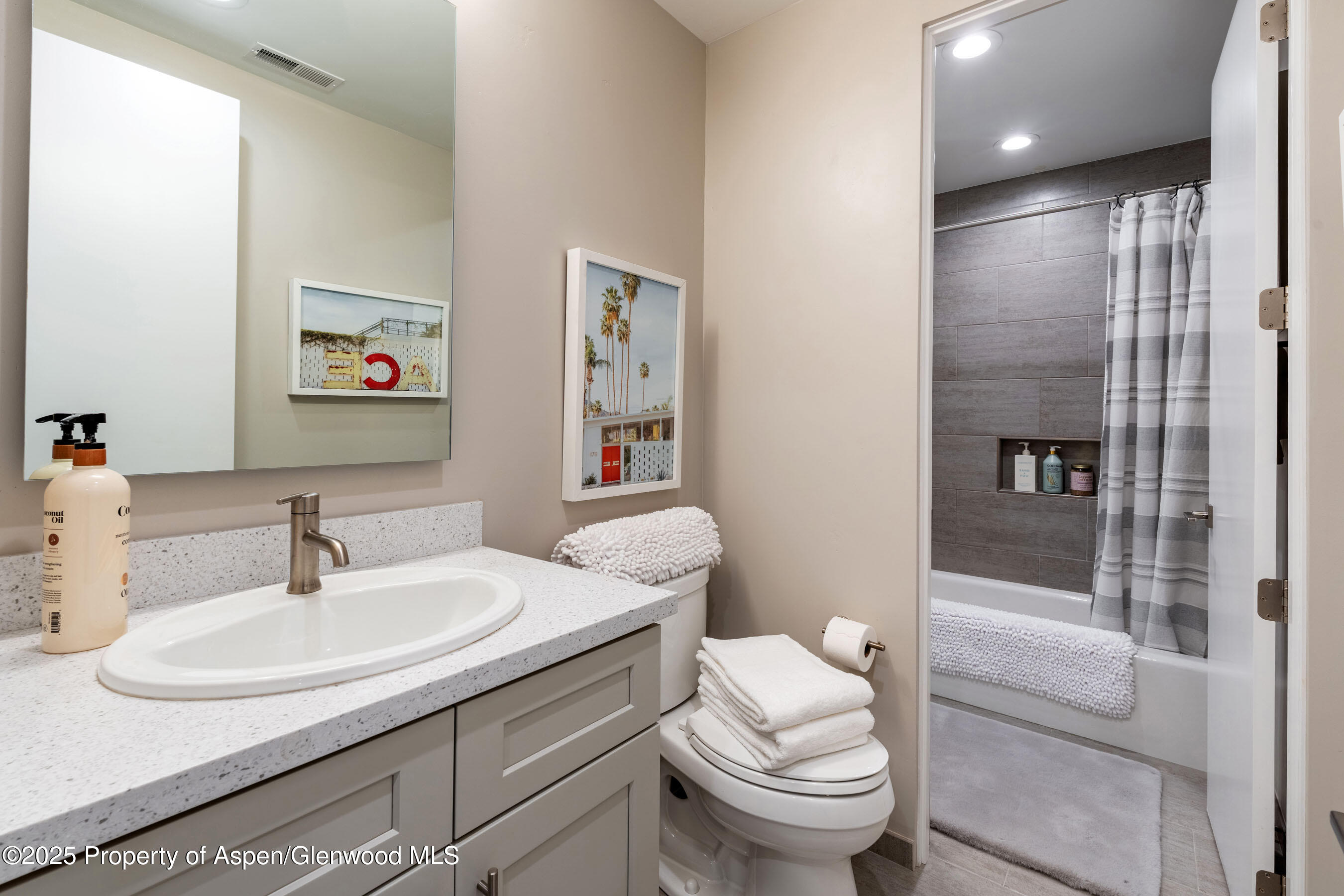 250 Overlook Ridge, Unit 250 Carbondale, CO 81623 - Photo 27 of 41 a bathroom with a sink toilet and shower