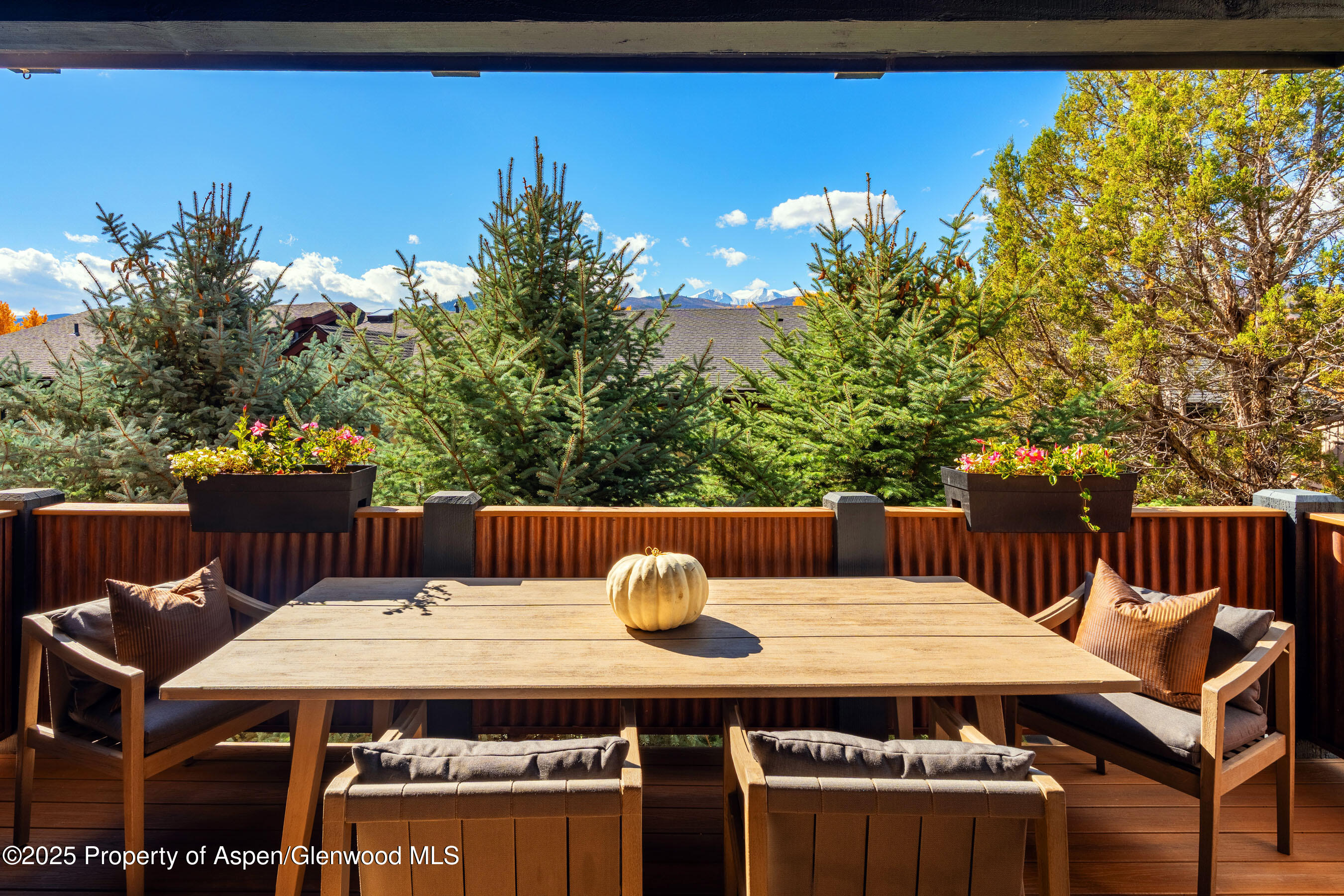 250 Overlook Ridge, Unit 250 Carbondale, CO 81623 - Photo 8 of 41 a view of a patio with table and chairs and potted plants