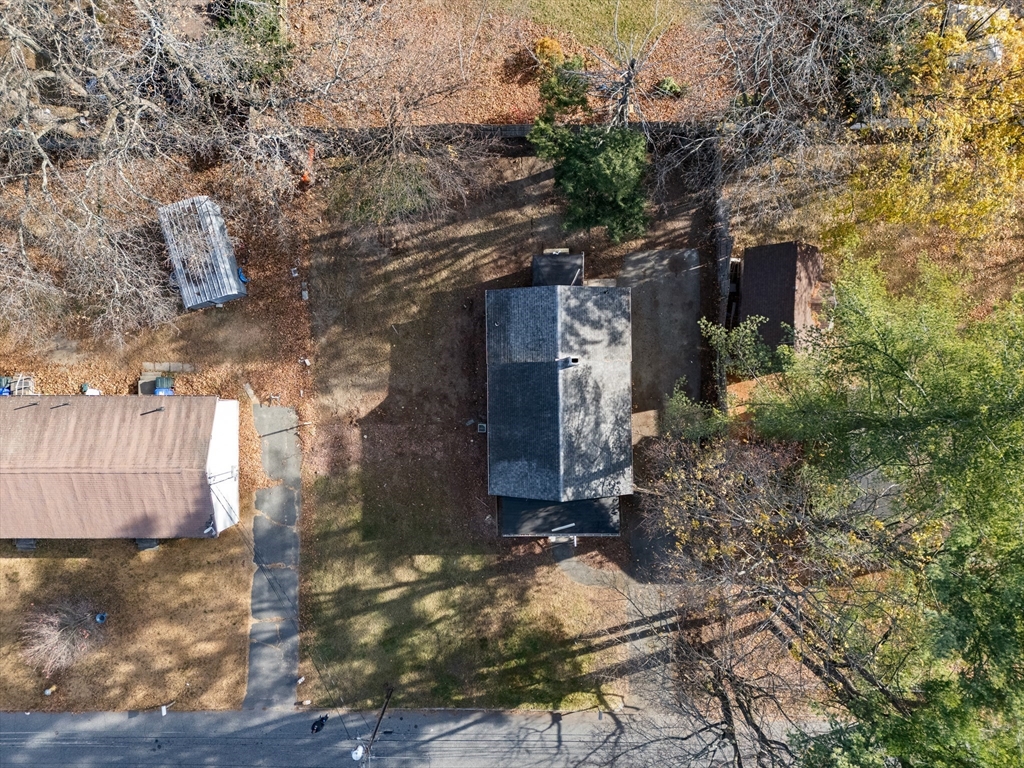 195 Almira Road Springfield, MA 01119 - Photo 41 of 41 a house with a tree in front of it