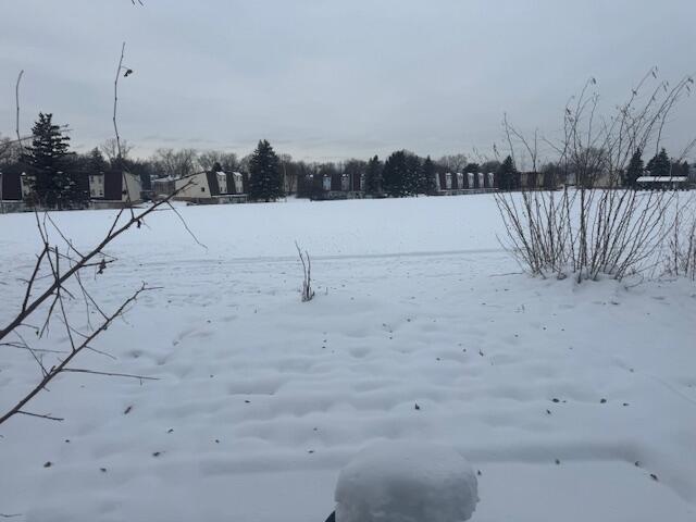 8877 North Swan Road, Unit B Milwaukee, WI 53224 - Photo 14 of 15 Backyard