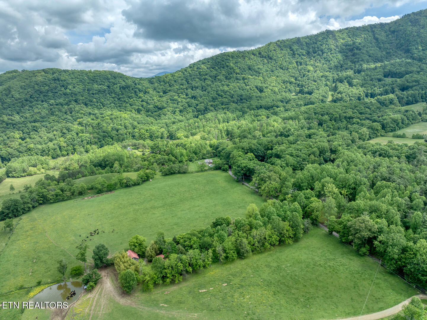 1153 Schoolhouse Gap Road Townsend, TN 37882 - Photo 4 of 7 DJI_0004
