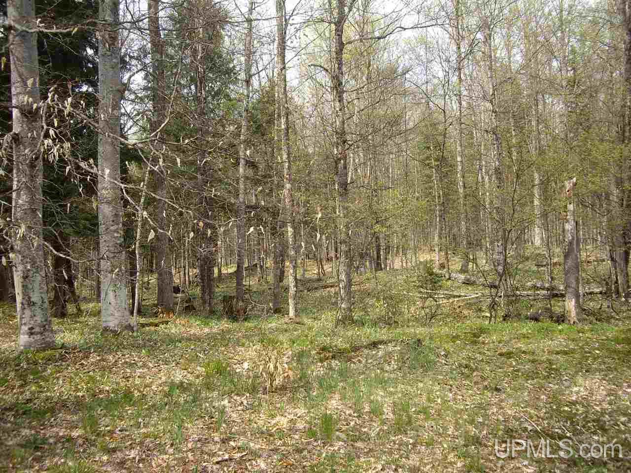 8962 East County 440 Road Wetmore, MI 49895 - Photo 24 of 26 Gallery Image 24