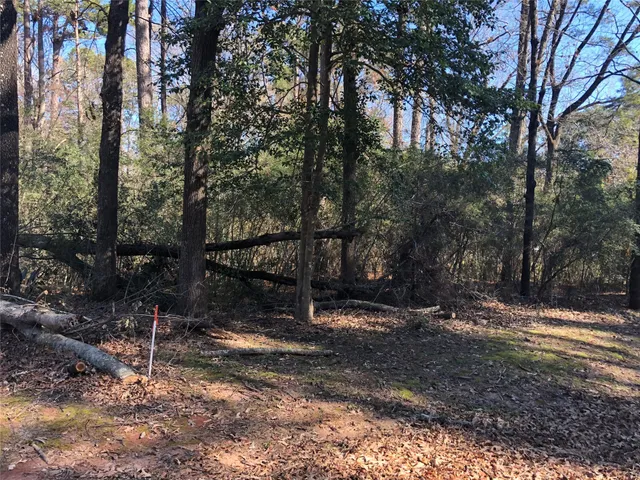 a view of outdoor space with tree s