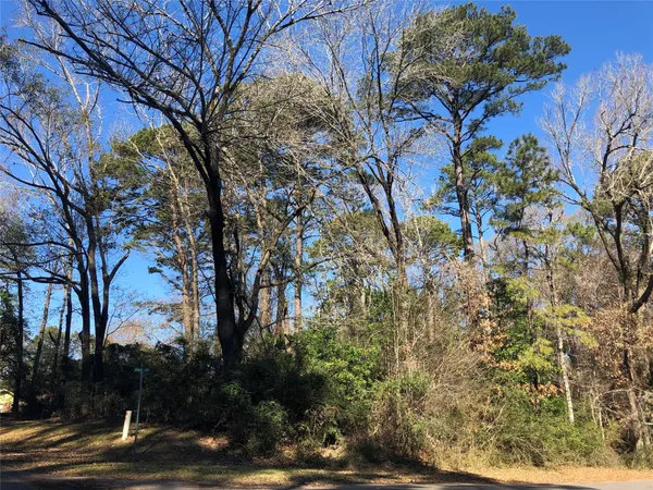 a view of a backyard of the house