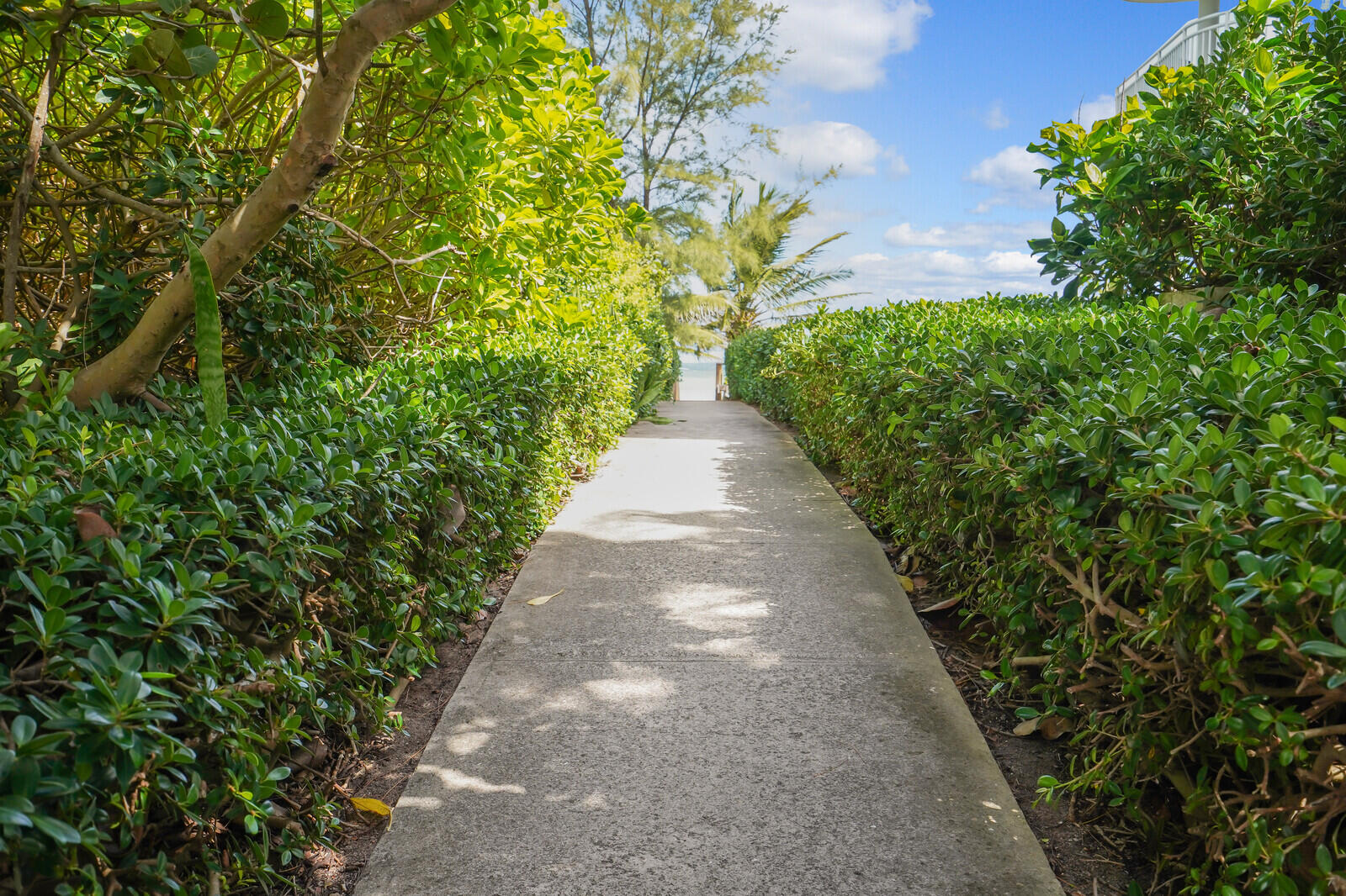 2121 North Ocean Boulevard, Unit 902E Boca Raton, FL 33431 - Photo 40 of 46 Private