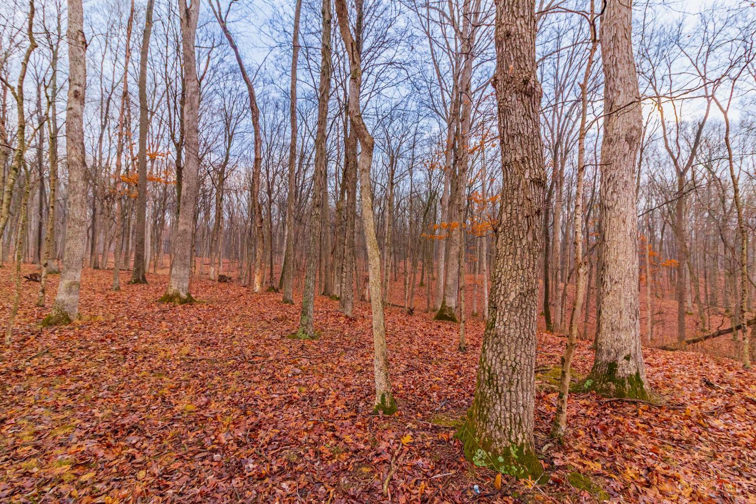 Rear Greenbrier Road Seaman, OH 45679 - Photo 26 of 27