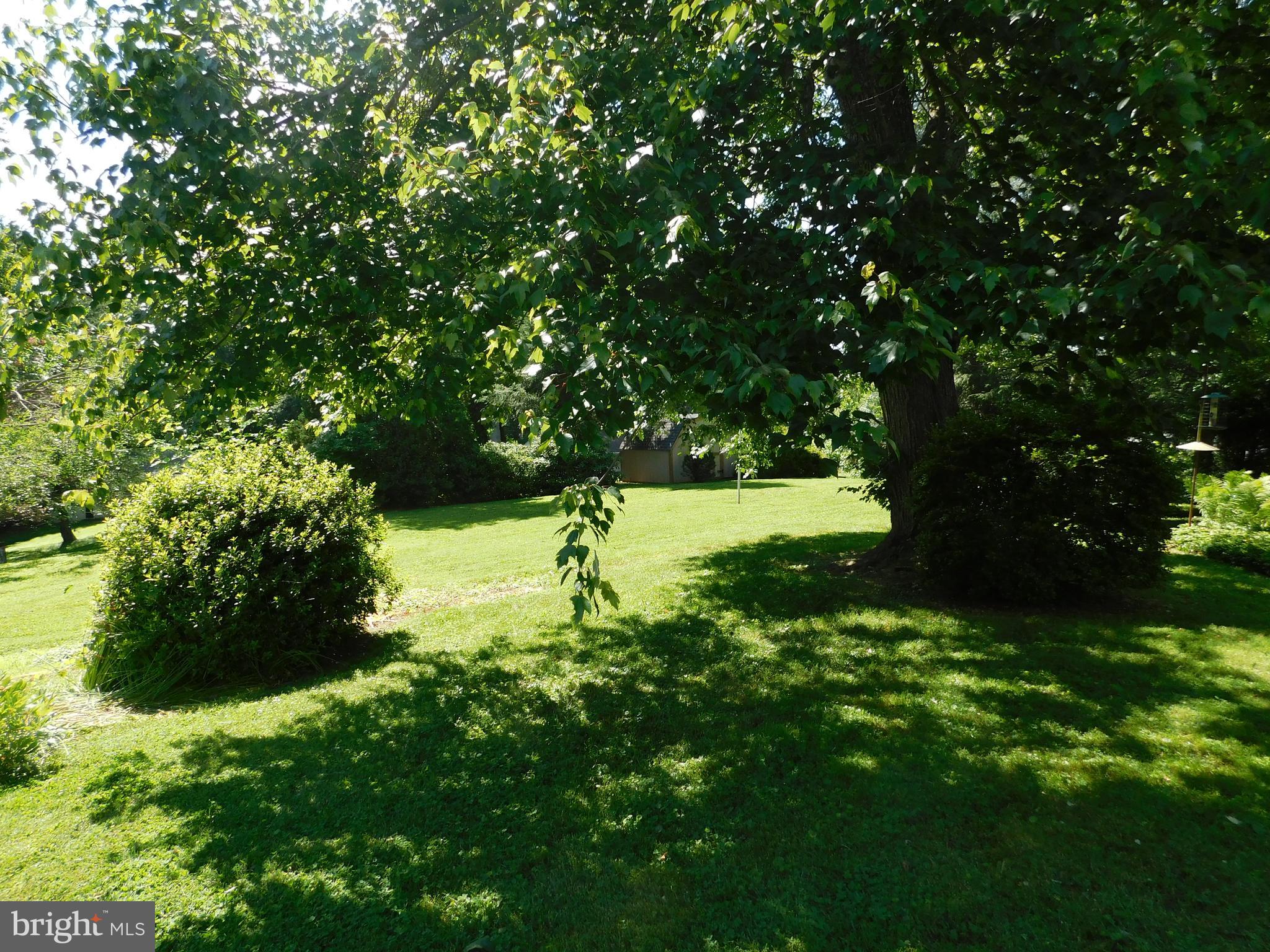 204 Highland Road Bel Air, MD 21014 - Photo 24 of 25 Rear Yard looking to the Shed