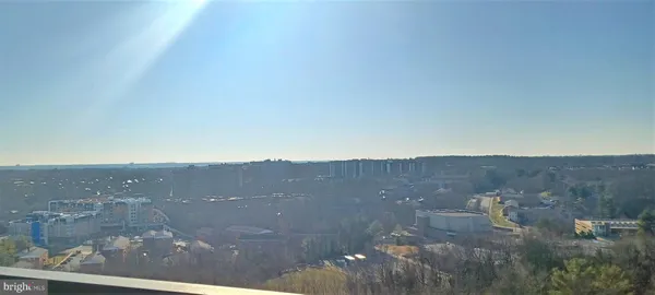 a view of a big yard