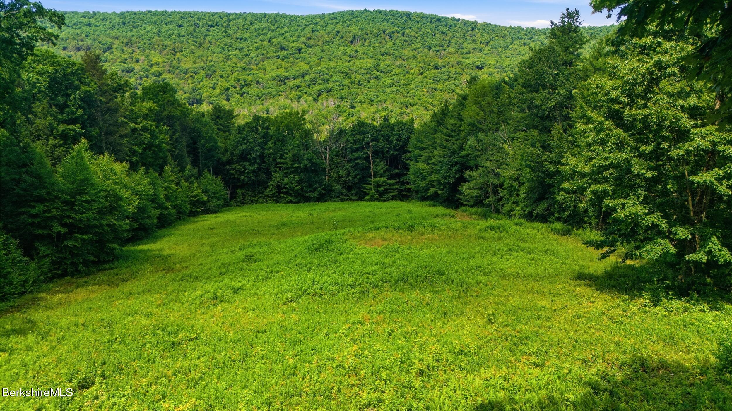 16 Old Tree Farm Road Stockbridge, MA 01266 - Photo 47 of 47 Views