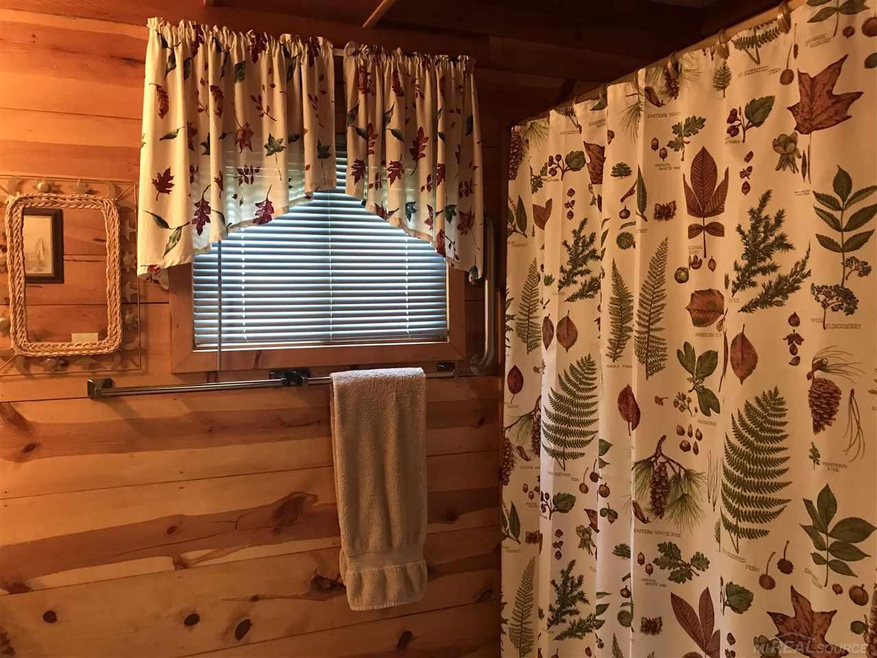 4100 School Road Roscommon, MI 48653 - Photo 26 of 39 Main bath