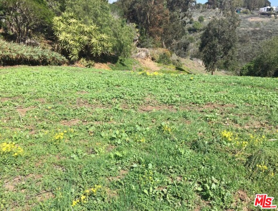 0 Wandermere Road Malibu, CA 90265 - Photo 1 of 11 Gallery Image 1