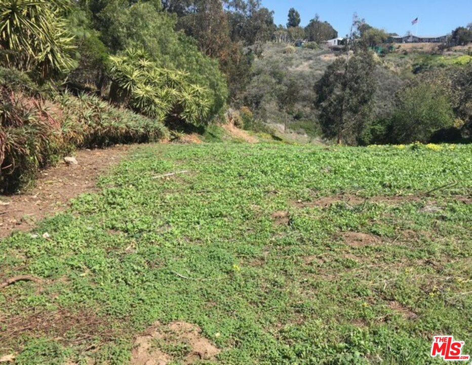0 Wandermere Road Malibu, CA 90265 - Photo 7 of 11 Gallery Image 7