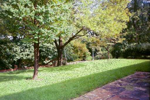 1173 Harvard Road Monroeville, PA 15146 - Photo 5 of 6 Yard/Garden.