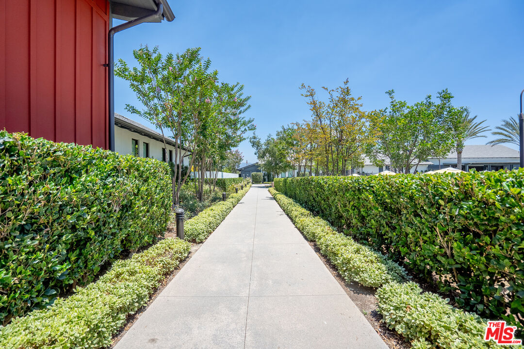 17 Lustre Street Rancho Mission Viejo, CA 92694 - Photo 55 of 63 a view of a garden with plants